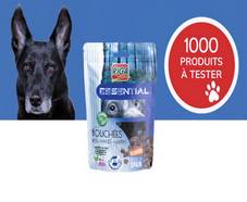 1000 paquets gratuits chiens : Essential Bouchées Sanglier