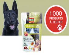 1000 paquets gratuits de friandises pour chiens 