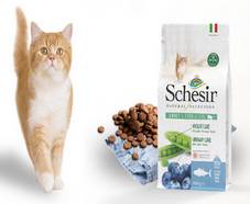 100 paquets offerts d’alimentation chats Schesir