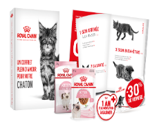 Royal Canin : Coffrets d’échantillons gratuits pour chatons 