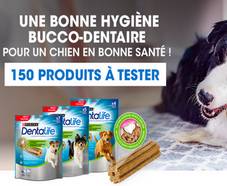 Bâtonnets Dentalife chien : 150 échantillons gratuits 