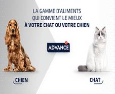 1000 packs gratuits ADVANCE : Alimentation chien/chat