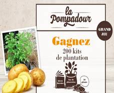 GRATUITS : 200 kits de plantation Pommes de terre