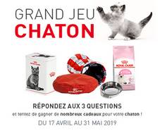 Grand Jeu Chaton - Royal Canin : 70 cadeaux à gagner !