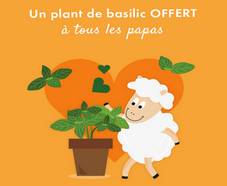 Distribution gratuite de plants de basilic bio !