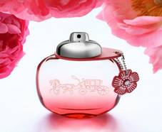 A gagner : 10 parfums Coach Floral Blush