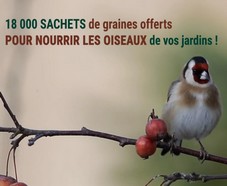 18000 sachets de graines pour oiseaux gratuits !