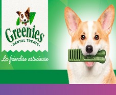Echantillons gratuits de sticks dentaires pour chiens (8-11kg) Greenies