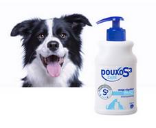 30 shampoings pour chiens gratuits