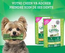 EXTRA ! 750 packs gratuits remplis de produits Greenies (chiens)