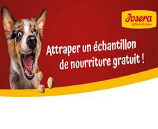échantillons gratuits nourriture chiens Josera (stock renouvelé tous les jours)