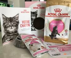Kits chatons Royal Canin gratuits sur simple visite 