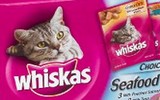 Echantillon croquettes Whiskas pour chatons